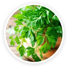 Luteolin ingredient image