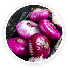 Nano-Quercetin ingredient image